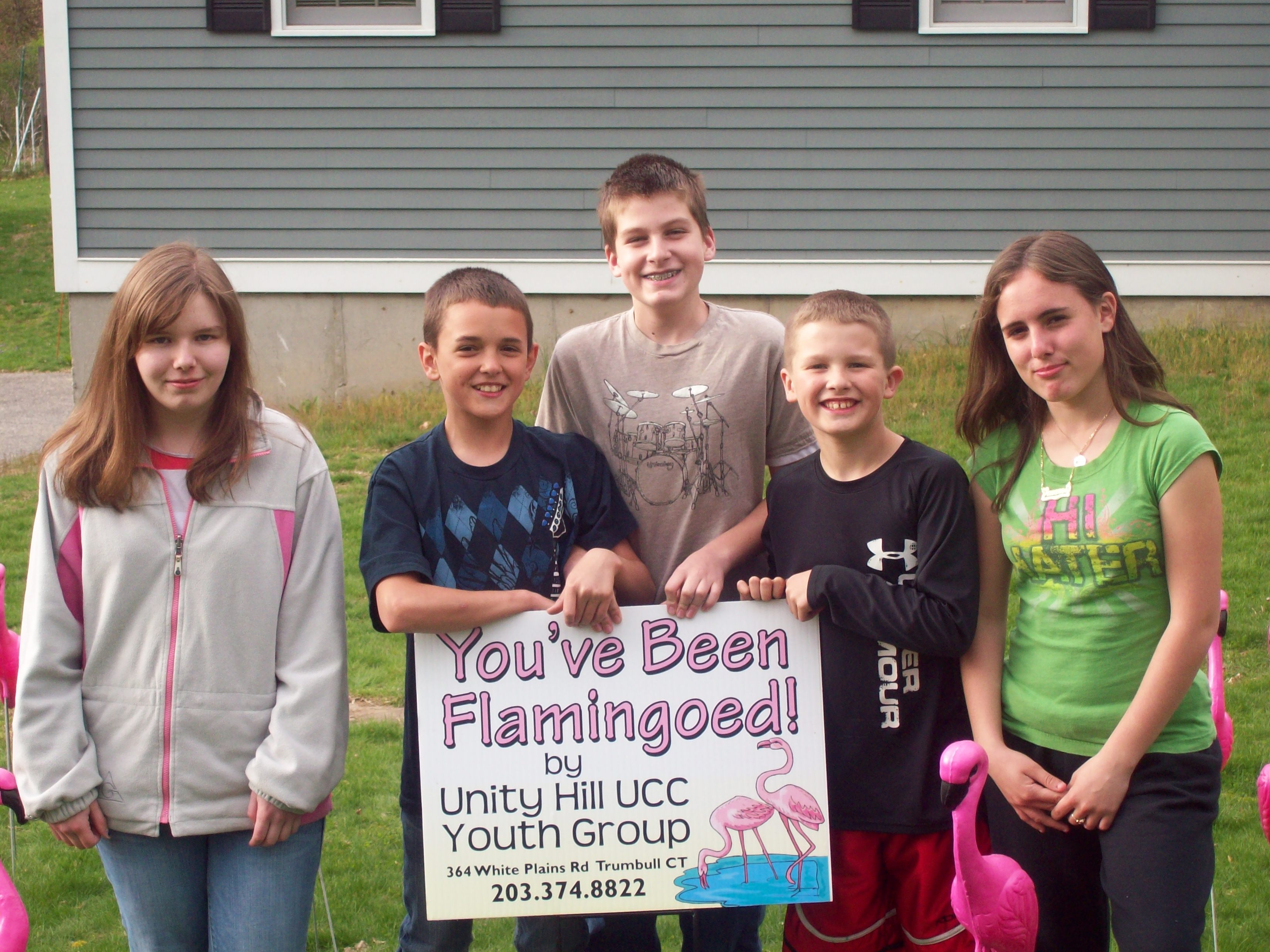 flamingo_002.jpg